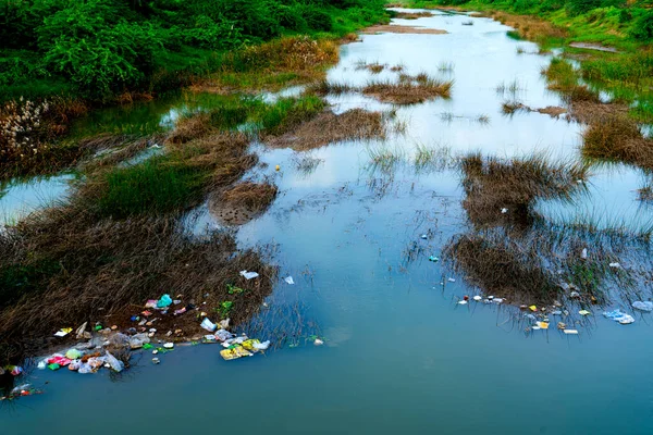 Nehir ya da göl kenarına atılmış plastik çöpler. Doğanın kirliliği, ekoloji kavramı