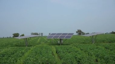 Güneş panelleri Çiftliği ya da güneş ışığı olan güneş pilleri, Hindistan.