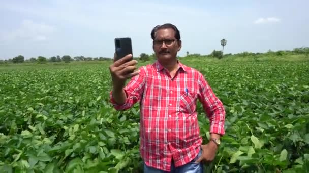 Indiase Boer Agronomist Een Groeiende Groene Soja Veld Landbouwsector — Stockvideo