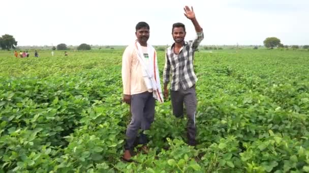 Akola Maharashtra India August 2021 Indian Farmers Working Field — Stock Video