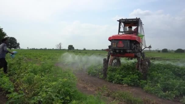 Akola Maharashtra India Αυγουστοσ 2021 Ινδοί Αγρότες Που Ασχολούνται Συγκομιδή — Αρχείο Βίντεο