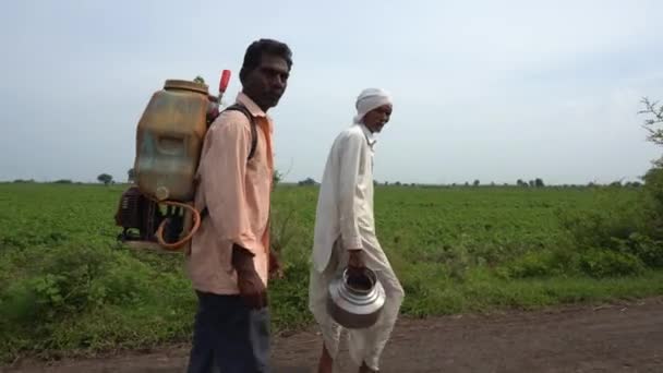 Akola Maharashtra India Agosto 2021 Agricultores Indios Trabajando Campo — Vídeo de stock