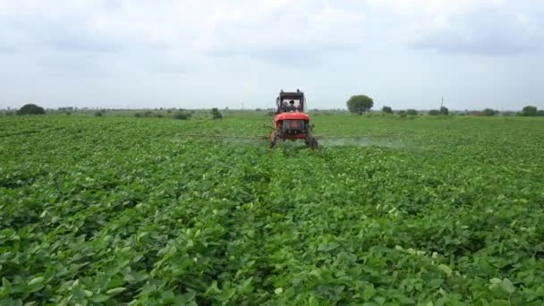 2021年8月9日インド マハラシュトラ州アコーラ 緑の畑で収穫者に取り組むインドの農家 — ストック動画