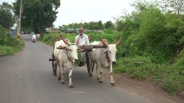 Amravati マハラシュトラ州 インド 6月2017 彼の農場 インドの農業シーンの通りにカートで確認されていないインドの農家 — ストック動画