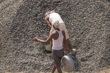 MUMBAI, MAHARASHTRA, INDIA 12 Kasım 2019: İnşaat işçileri bir inşaat sahasında çalışıyor. Hindistan 'da inşaat işçileri iş yerinde güvenlik önlemi almıyorlar..