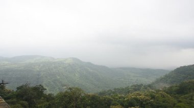  Hindistan 'da ormanı sis kaplıyor.