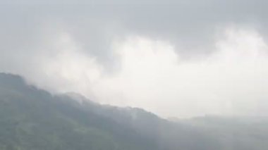  Hindistan 'da ormanı sis kaplıyor.