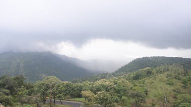  Hindistan 'da ormanı sis kaplıyor.