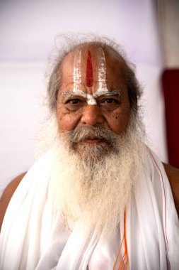 NASHIK, INDIA, 27 Ağustos 2015: Nashik 'te maha kumbh mela' ya katılan kutsal sadhu baba portresi.