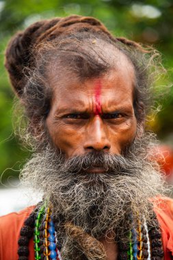 NASHIK, INDIA, 27 Ağustos 2015: Nashik 'te maha kumbh mela' ya katılan kutsal sadhu baba portresi.