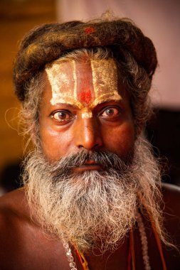 NASHIK, INDIA, 27 Ağustos 2015: Nashik 'te maha kumbh mela' ya katılan kutsal sadhu baba portresi.