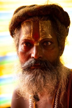 NASHIK, INDIA, 27 Ağustos 2015: Nashik 'te maha kumbh mela' ya katılan kutsal sadhu baba portresi.