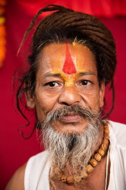 NASHIK, INDIA, 27 Ağustos 2015: Nashik 'te maha kumbh mela' ya katılan kutsal sadhu baba portresi.