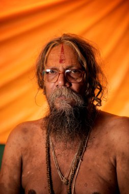 NASHIK, INDIA, 27 Ağustos 2015: Kumbh Mela 'daki kutsal adam Hindu sadhu' nun portresi