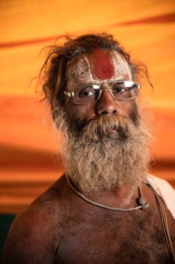 NASHIK, INDIA, 27 Ağustos 2015: Kumbh Mela 'daki kutsal adam Hindu sadhu' nun portresi