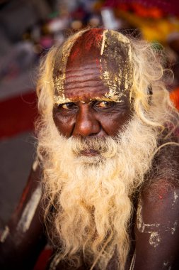 NASHIK, INDIA, 27 Ağustos 2015: Kumbh Mela 'daki kutsal adam Hindu sadhu' nun portresi