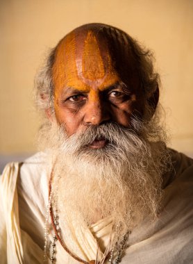 NASHIK, INDIA, 27 Ağustos 2015: Kumbh Mela 'daki kutsal adam Hindu sadhu' nun portresi