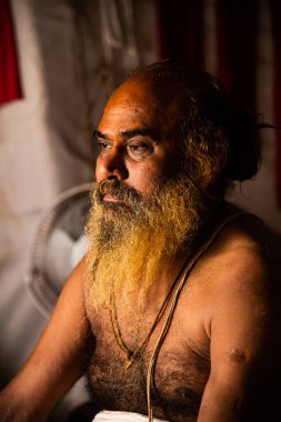 NASHIK, INDIA, 27 Ağustos 2015: Kumbh Mela 'daki kutsal adam Hindu sadhu' nun portresi