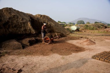 AURANGABAD, MAHARASHTRA, INDIA, 26 Kasım 2019: Kalıplardan ıslak kil tuğlalar yapan Hintli işçiler açık havada güneş ışığında kurutmak için elle kil tuğlalar yapıyorlar.