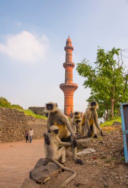 Chand Minar Minaresi, Daulatabad Kalesi, Maharashtra