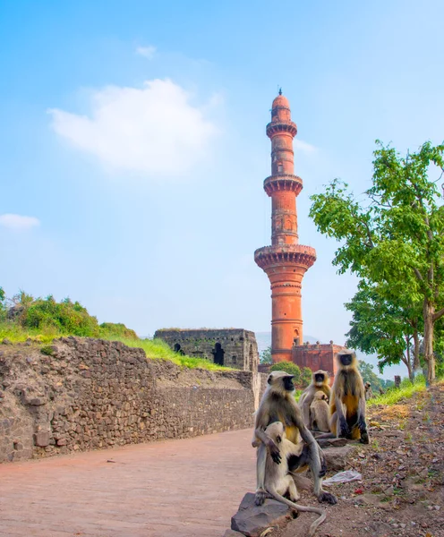 Chand Minar Minaresi, Daulatabad Kalesi, Maharashtra