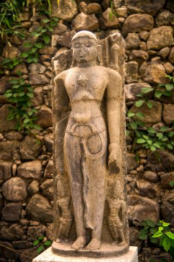 Daulatabad Kalesi, Aurangabad, Maharashtra, Hindistan 'da antik taş heykel.