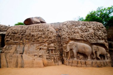 Ganj ve Arjuna 'nın Kefareti, UNESCO Dünya Mirası Alanı, Mahabalipuram, Tamil Nadu, Hindistan.