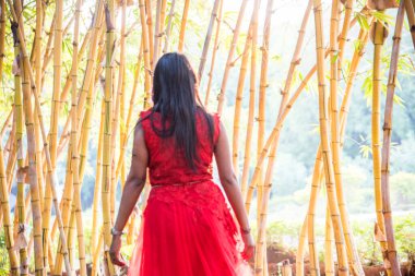 Bir kız bambu ormanında yürüyor. Hafif bir sis ve gün batımında.