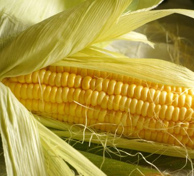 Beyaz arka planda tatlı mısır koçanları