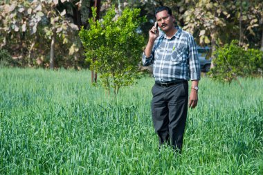 Hintli çiftçi tarlasında.