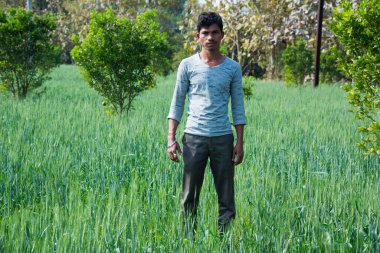 Hintli çiftçi tarlasında.