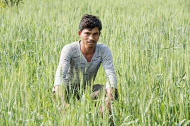 Hintli çiftçi tarlasında.