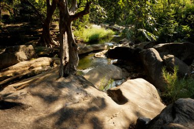 Taş ya da kaya dokusu arka planı.