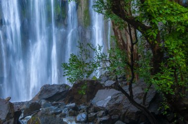 Ormanda güzel bir şelale.