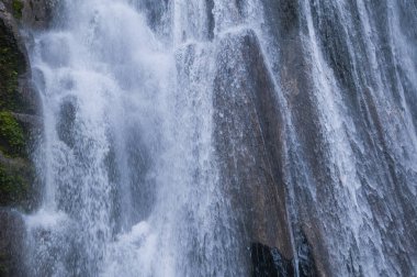 Ormanda güzel bir şelale.