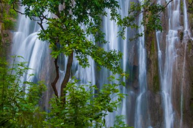 Ormanda güzel bir şelale.