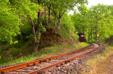 Ormanda Hint treni ve rayları