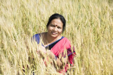 Buğday tarlasında sari giyen Hintli kadın buğday tarlasında gülümseyen kadının portresi..