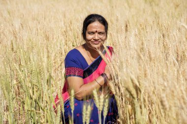 Buğday tarlasında sari giyen Hintli kadın buğday tarlasında gülümseyen kadının portresi..