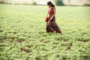 Nohut tarlasında yürüyen genç kız