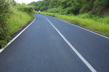 Forest road in India