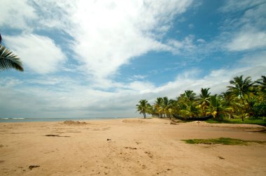 Mararikulam kumsalı, Alappuzha, Kerala, Hindistan