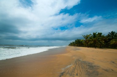 Mararikulam kumsalı, Alappuzha, Kerala, Hindistan