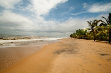 Mararikulam kumsalı, Alappuzha, Kerala, Hindistan