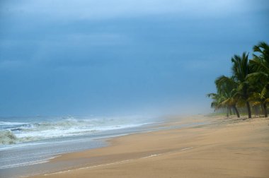 Kerala, Hindistan 'da el değmemiş tropik plaj