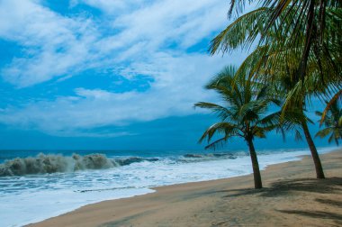 Kerala, Hindistan 'da el değmemiş tropik plaj