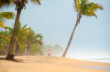 Egzotik sahil doğası ve ufukta bulutlar. Deniz kıyısı hattı. Açık hava manzarası.