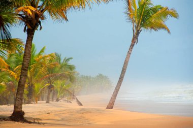 Kerala, Hindistan 'da el değmemiş tropik plaj