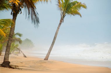 Kerala, Hindistan 'da el değmemiş tropik plaj