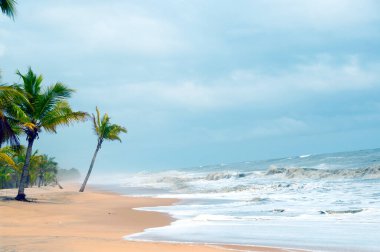 Egzotik sahil doğası ve ufukta bulutlar. Deniz kıyısı hattı. Açık hava manzarası.